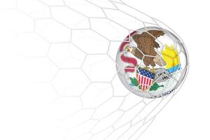 Illinois flag soccer ball in net. vector
