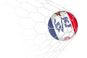 Iowa flag soccer ball in net. vector