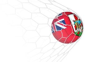 Bermuda flag soccer ball in net. vector