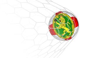 Alderney flag soccer ball in net. vector
