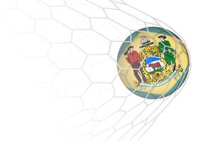 Delaware flag soccer ball in net. vector
