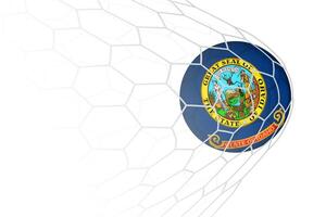 Idaho flag soccer ball in net. vector