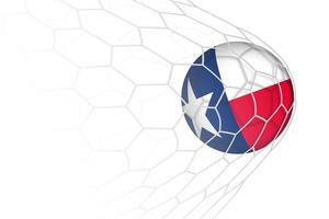 Texas flag soccer ball in net. vector