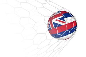 Hawaii flag soccer ball in net. vector