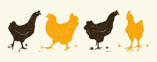 Collection of Pencil Drawing of Vintage Chickens. Grunge designs of hens with subtle grainy texture. Cartoon hand drawn birds vector