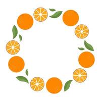 Round frame of ripe oranges on a white background. Banner, text space, flyer, label vector