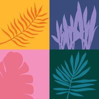 Your special design. Set of exotic tropical leaves of different types. Illustrations isolated on COLOR background. vector