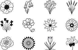 A collection of twelve simple black and white line drawings of various flowers, including tulips, lavender, and roses. Elegant botanical illustrations. vector