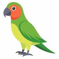a cartoon bird green Amazon parrot . Colorful exotic bird parrot.Isolated on white background. Side view. vector