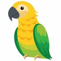 Cartoon bird green Amazon parrot of yellow headed. Colorful exotic bird parrot.Isolated on white background. Side view. vector