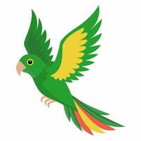 cartoon bird Amazon parrot green color in flight .Colorful exotic parrot. Isolated on white background. Side view. vector