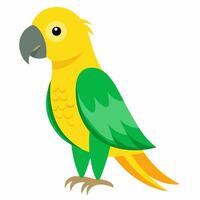 cartoon bird green Amazon parrot of yellow headed. Colorful exotic bird parrot.Isolated on white background. vector