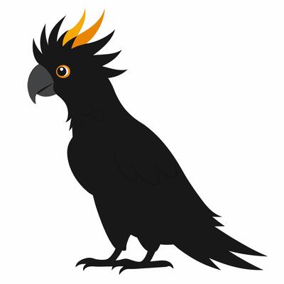 cartoon bird a black cockatoo parrot. Beautiful exotic parrot from Australia. Isolated on white background.