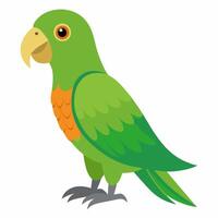 cartoon bird Amazon parrot green orange color .Colorful exotic parrot. Isolated on white background. Side view. vector