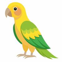 Cartoon bird green Amazon parrot of yellow headed. Colorful exotic bird parrot.I On white background. Side view. vector