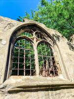 Old ruined arched window showing lush green tree and blue sky photo