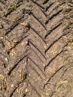 Tractor tire imprint creating deep tracks in mud on farmland photo