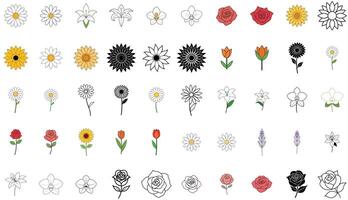50 Fine Line and Vintage Line Art Flowers - Elegant Botanical Drawing Bundle vector