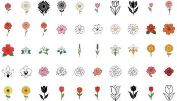 50 Minimalist and Abstract Line Art Flowers - Modern Botanical Illustration Bundle vector