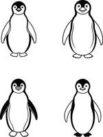Black and White Penguin Bird Line Art Illustration Set vector