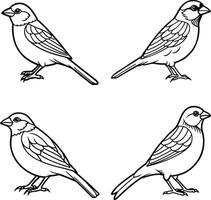 Cute Sparrows line art Illustration coloring page vector