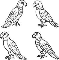 Parrot Line Art Illustrations vector