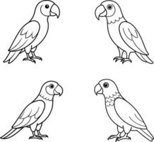 Echo Parrot Line Art vector
