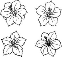Hand-Drawn Floral Line Art Coloring Page Set vector