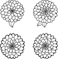 Intricate Hand-Drawn Floral Line Art for Coloring Books vector