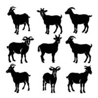 Set of Goat and Sheep Silhouettes vector
