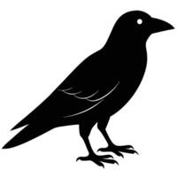 Stylish Crow Silhouette Icon for Wildlife and Bird Illustration Projects vector