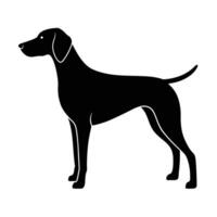 Icon of a German Shorthaired Pointer in Silhouette vector