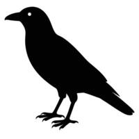 Modern Crow Silhouette Icon for Wildlife Conservation and Bird Design vector