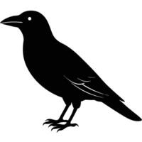 Dynamic Crow Silhouette Art Icon for Wildlife and Outdoor Projects vector
