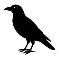 Creative Crow Silhouette Art Icon for Bird and Eco Design Projects vector