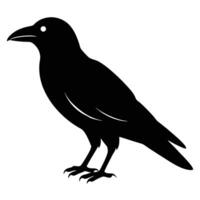 Charming Crow Silhouette Art Icon for Nature and Bird Graphic Projects vector