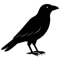 Dynamic Crow Silhouette Art Icon for Nature and Wildlife Projects vector