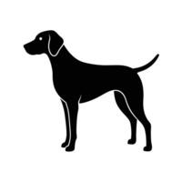 German Shorthaired Pointer Outline Symbol vector