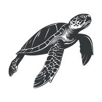 Sea turtle silhouette with clean background vector
