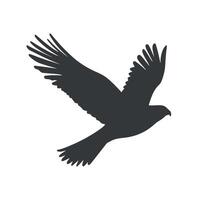 Flying falcon silhouette with white background vector