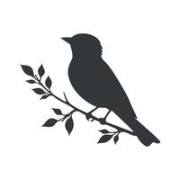 Silhouette of a bird on a branch vector