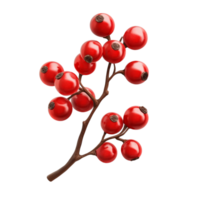 Red Berries on a Branch with Detailed Texture png