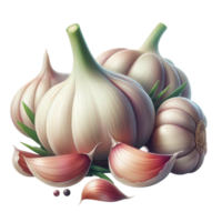 Fresh Garlic Cloves with Artistic Rendering png