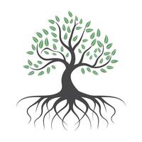 a tree with roots and leaves on a white background vector