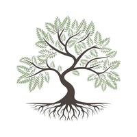 an illustration of a tree with roots vector