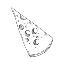 Hand drawn Cheddar Sketch Illustration vector