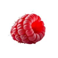 Close up view of a single raspberry against a transparent background. png