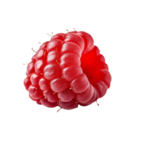 A single raspberry against a transparent background. png