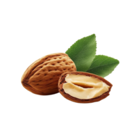 A whole almond with its rough brown outer shell. png