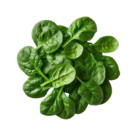 Close up view of fresh spinach leaves arranged in a circular pile. png